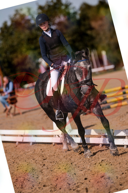 2026_10_03_Siefer-Hof_120029_Z81_02372378 | Professionelle Reitsport-, Turnier- und Eventfotografie von Robert Broda. Galerien mit ausgewählten und bearbeiteten Bildern direkt online ansehen und bestellen.