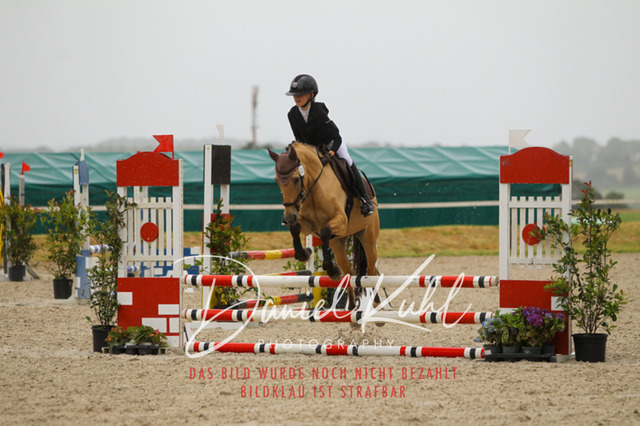 DKP47317 | Turniersportfotografie; Pferdefotografie; Dressurfotografie