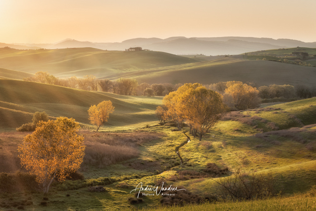 Sanftes Morgenlicht | Andre Wandrei - Nature Artworx - Realisiert mit Pictrs.com