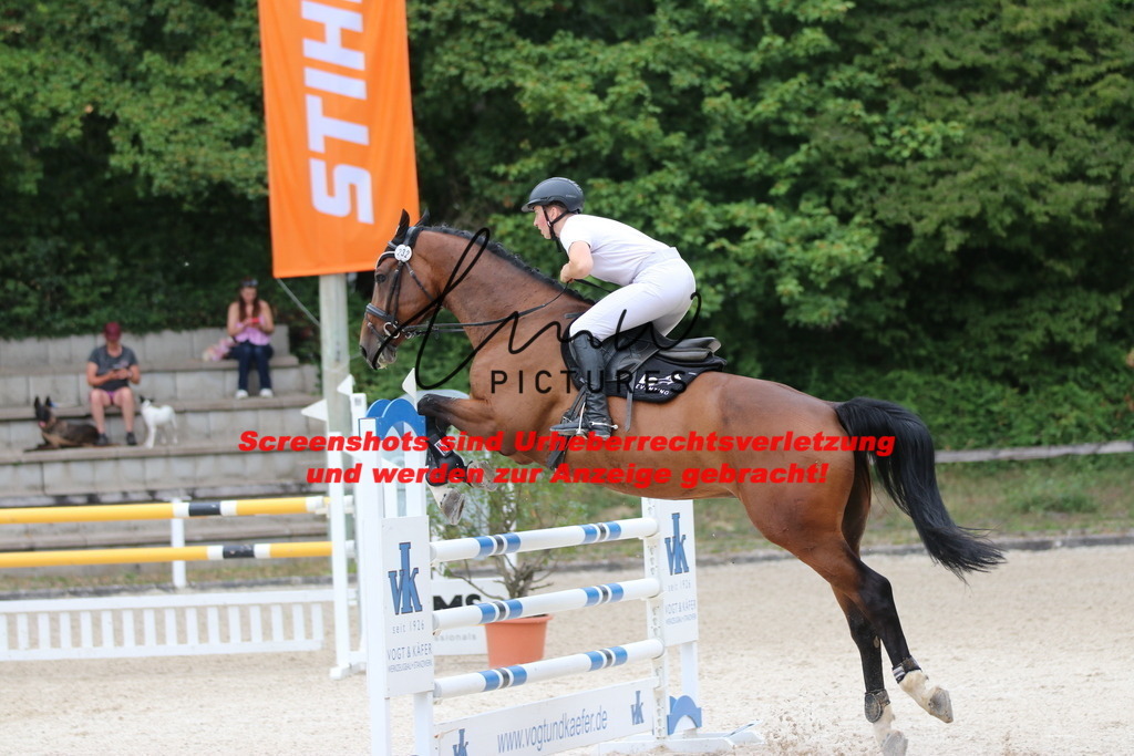 IMG_2306 | lmwpictures - Realisiert mit Pictrs.com