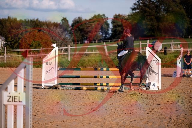 2026_10_03_Siefer-Hof_171905_Z81_17068646 | Professionelle Reitsport-, Turnier- und Eventfotografie von Robert Broda. Galerien mit ausgewählten und bearbeiteten Bildern direkt online ansehen und bestellen.
