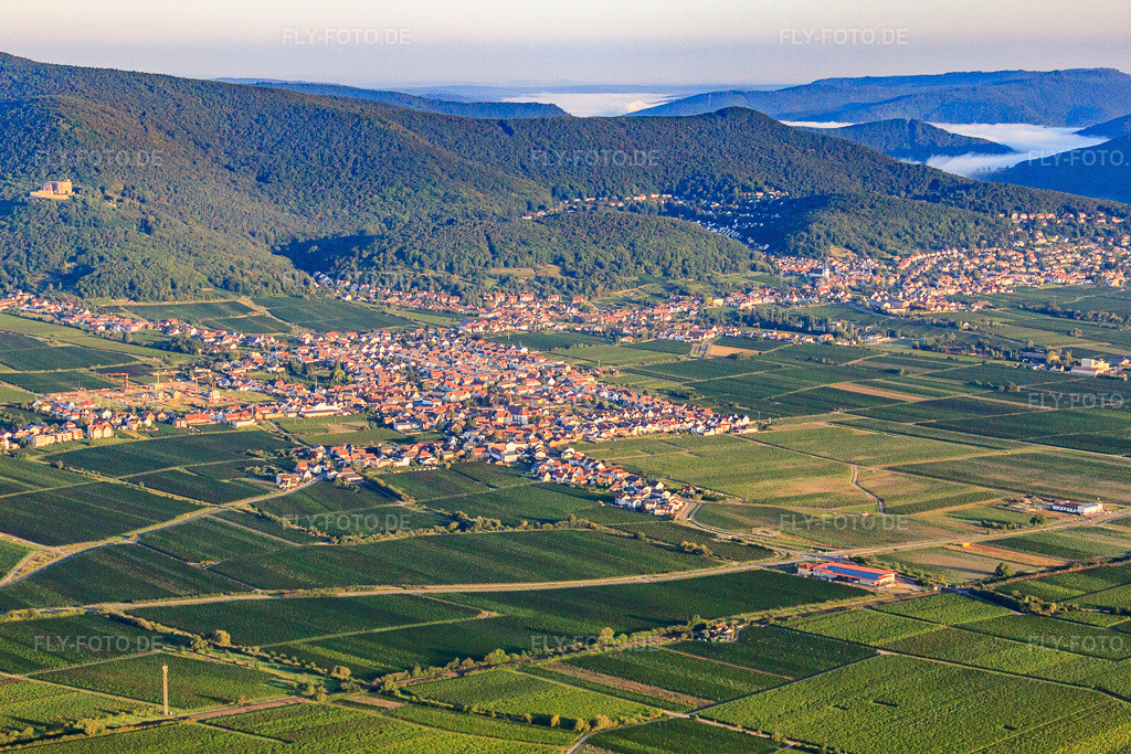 Luftbild: Ortsansicht von Südosten im Ortsteil Diedesfeld in Neustadt im Bundesland Rheinland-Pfalz in Deutschland. Foto: IMG_44351.jpg vom 20.08.2011 durch Werner Riehm/FLY-FOTO.deAuflösung des Originals: 4752 x 3168 px