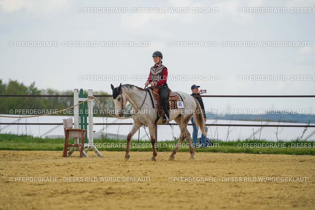 DSC06430 | Pferdegrafie