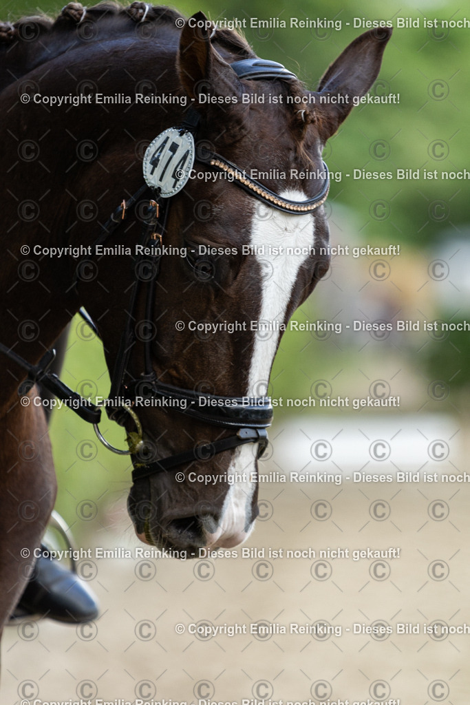 CL5A6514-2 | Emilia Reinking Fotografie - Realisiert mit Pictrs.com