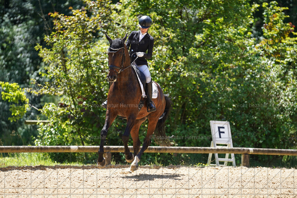 20240705-FAH04074 | Turnierbilder von Grafing, Reitsportbilder, Turnierfotos, Turnierfotografen Bayern, Pferdefotograf, Fotoagentur Herrmann