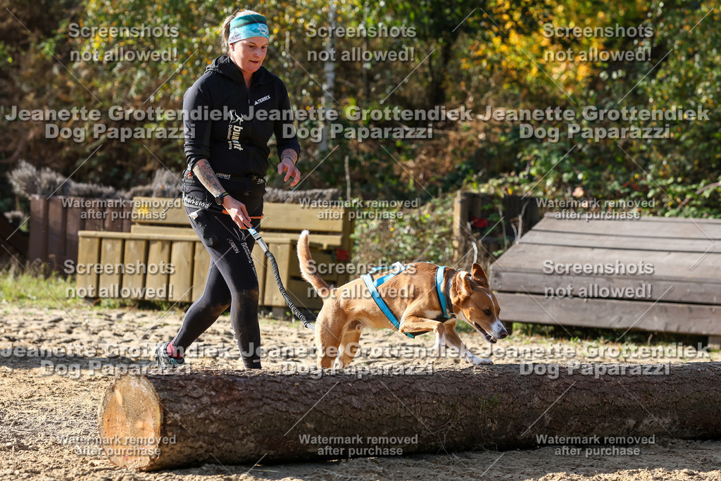 Dog Paparazzi - Strongdog 10-25-5972 | Dog Paparazzi Jeanette Grottendiek Fotografie & Videografie - Realisiert mit Pictrs.com