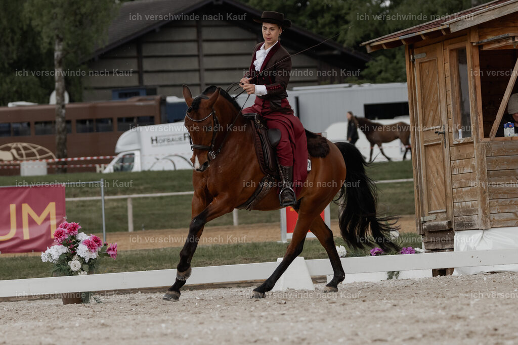 WE_DR_Stoib_343_PI2025_205 | Pferd International München 2025