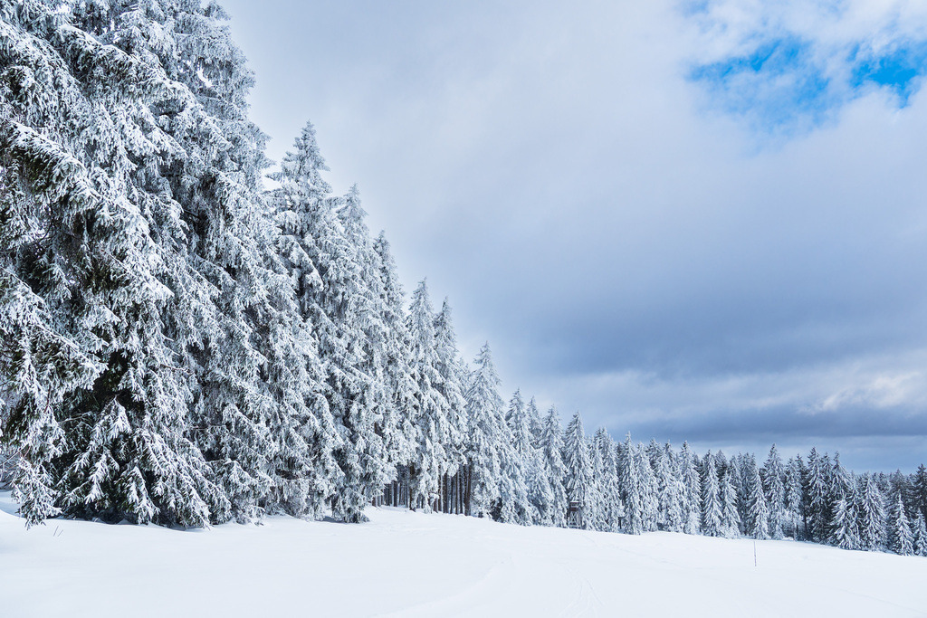 Landschaft im Winter im Thüringer Wald in der Nähe von Schmiedefeld am Rennsteig | Landschaft im Winter im Thüringer Wald in der Nähe von Schmiedefeld am Rennsteig.