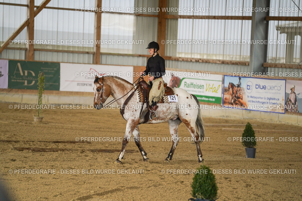 DSC06408 | Pferdegrafie