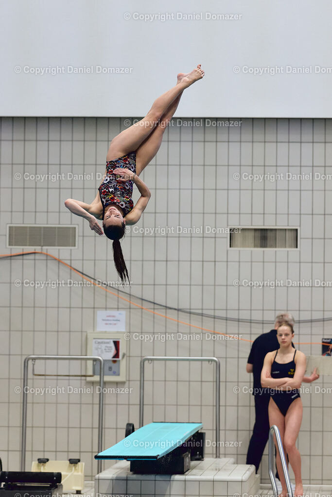 International Youth Diving Meet 2026 | Day 4 of 5 | International Youth Diving Meet 2026| Day 4 of 5 | 25.04.2026 | Youth diving competition featuring 1m and 3m springboard and platform at the Schwimmsportkomplex Freiberger Platz in Dresden.@ Domazer Photography - Realisiert mit Pictrs.com