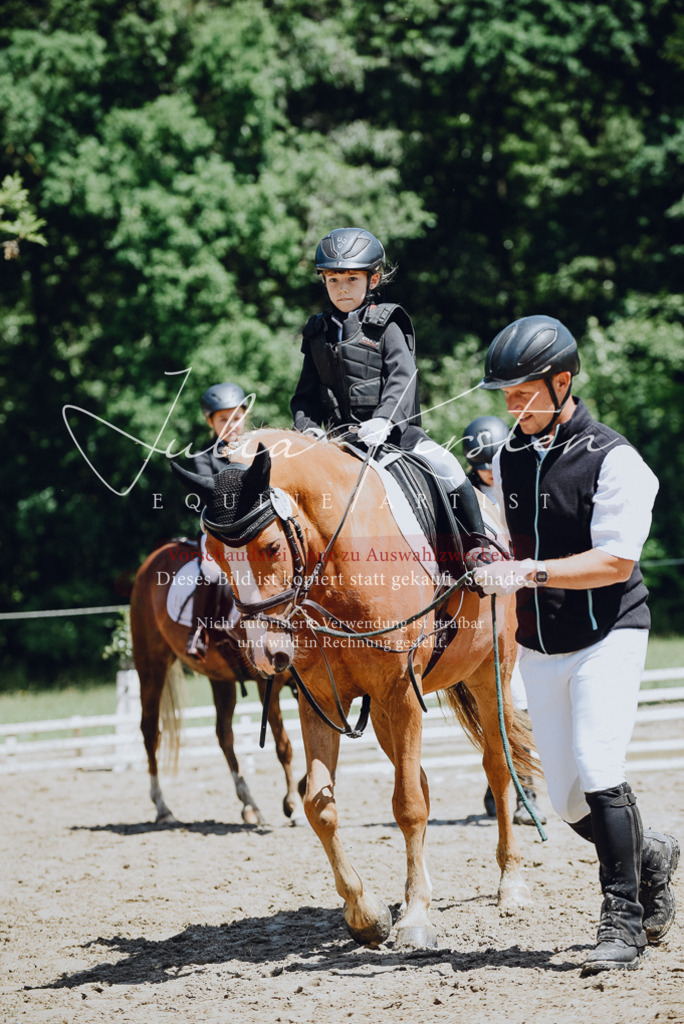 DSC_2584 | Pferde- und Turnierfotografie in Westsachsen. Pferdeportraits, Auftragszeichnungen und intuitive Kunst.