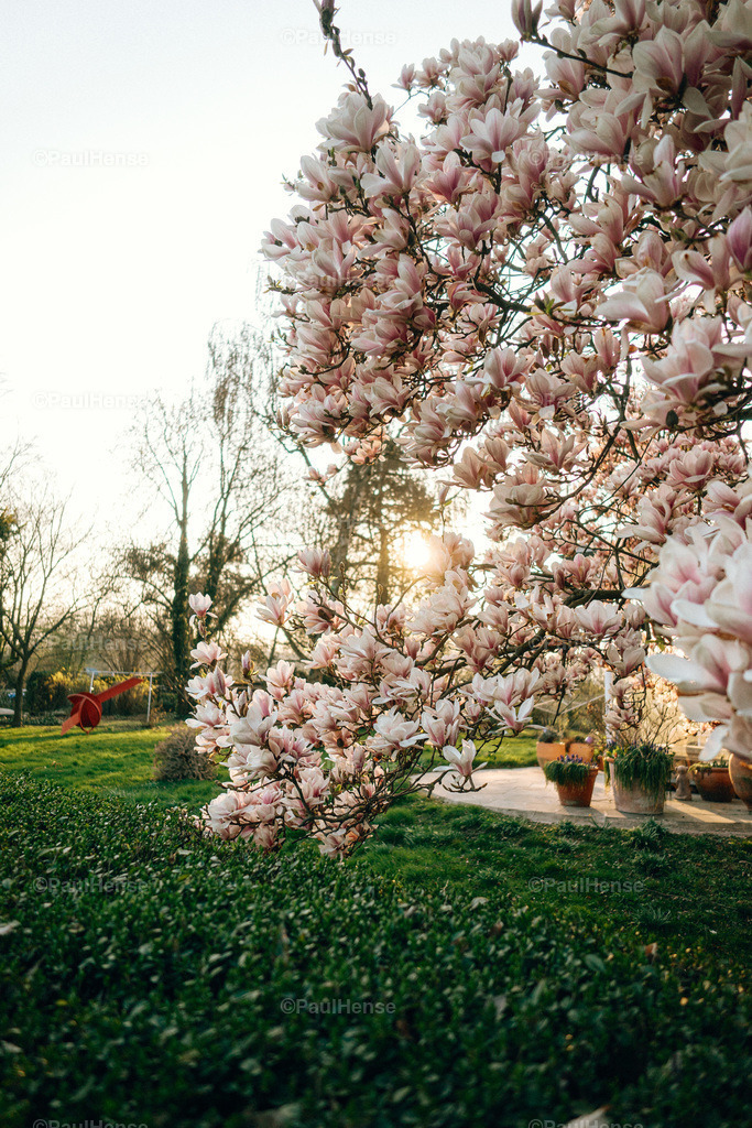 20220323_PaulHense_S0007_DSC03359 | paulhense - Realisiert mit Pictrs.com