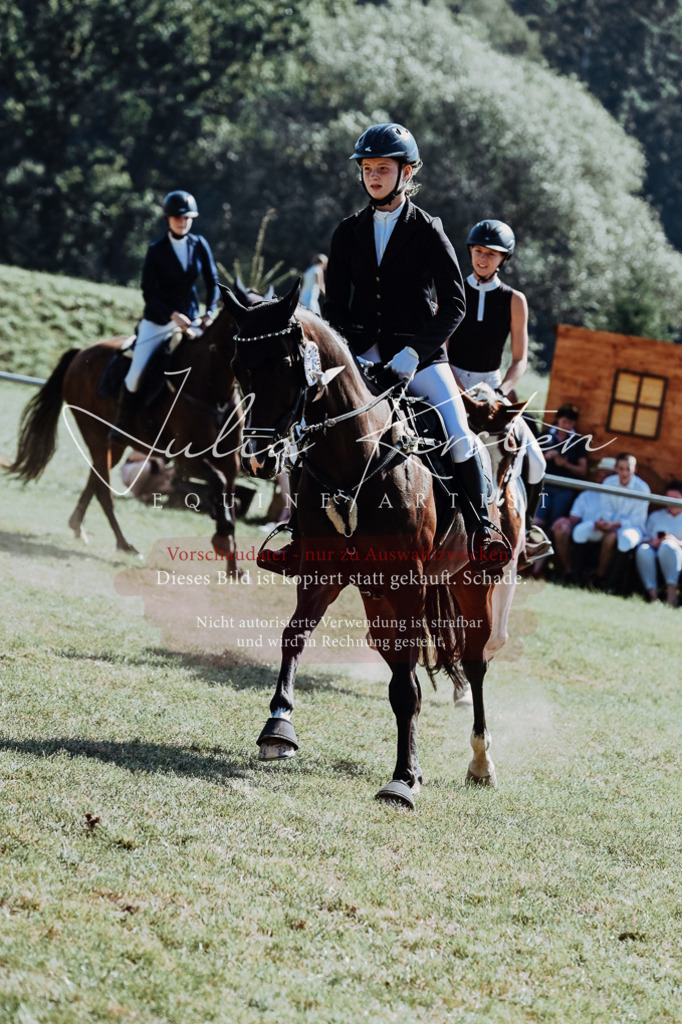 DSC_6224 | Pferde- und Turnierfotografie in Westsachsen. Pferdeportraits, Auftragszeichnungen und intuitive Kunst.
