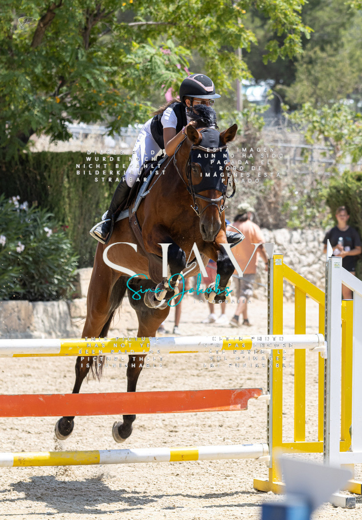 IMG_7523 | s-jay-photography - Realisiert mit Pictrs.com