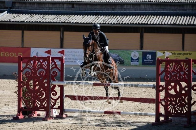 2B4A0438 | pixelfaenger - Realisiert mit Pictrs.com