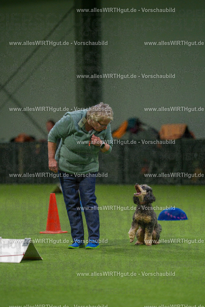 7R504047 | Professionelle Tierfotografie in Mönchengladbach von Daniel Wirth (allesWIRTHgut). Liebevolle & natürliche Bilder von Hunden & Katzen für unvergessliche Erinnerungen.