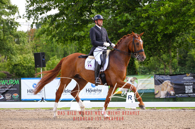 DKP41314 | Deine Turnierfotos vom Reitturnier online kaufen: Dressur, Springen & Siegerehrung. Professionelle Pferdefotografie aus dem Rheinland – als Download & Print.Alternative: Turnierfotograf für den Pferdesport: Finde deine Fotos von Dressur- und Springturnier