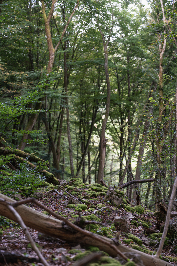 ZD250916092311 | Fotoshop von zweidimensional Fotografie. Ihr Fotograf im Aargau. Abzüge von Ihrem Fotobox Event bestellen.Abzüge von Ihrem Hochzeit bestellen.Abzüge von Ihrem Schulfotograf bestellen.
