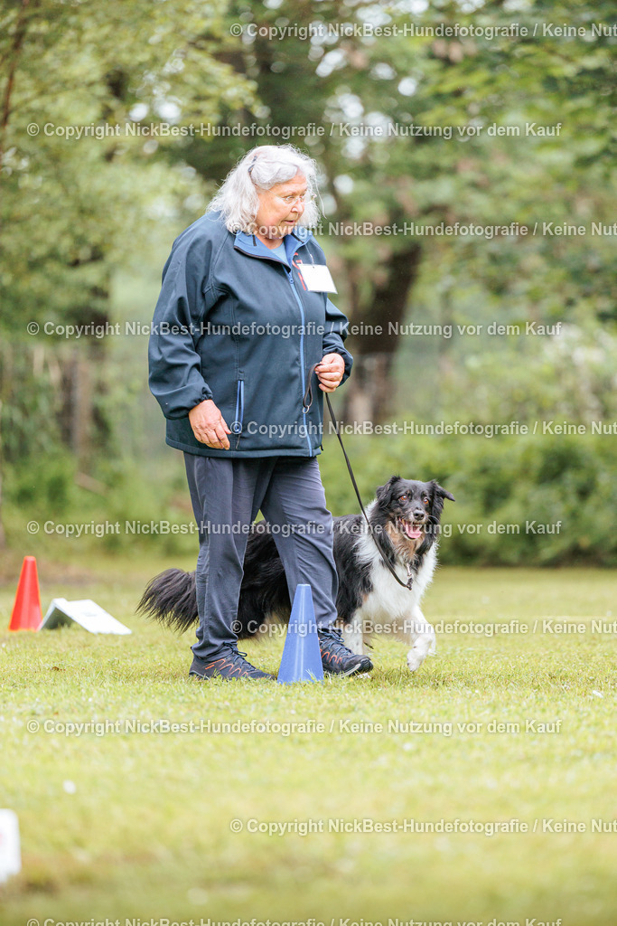 RO-Blumenthal-2026-Nickbest-Hundefotografie-3938 | Dein Hund! Dein Moment! Deine Erinnerungen! Hundefotografie in Bremen Blumenthal. Ich fange die besonderen Momente deines Vierbeiners ein – ob Indoor mit Blitzanlage oder in der freien Natur. Sicher dir dein Moment und dein Termin für eure Erinnerungen.