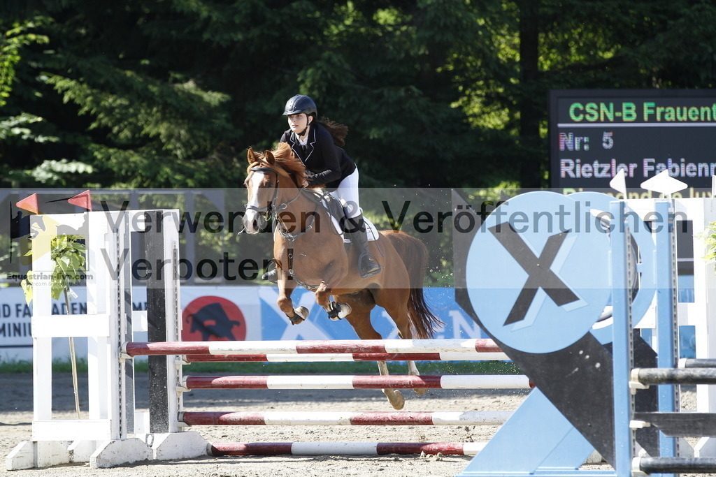 _MG_1351 | equestrian-live-com