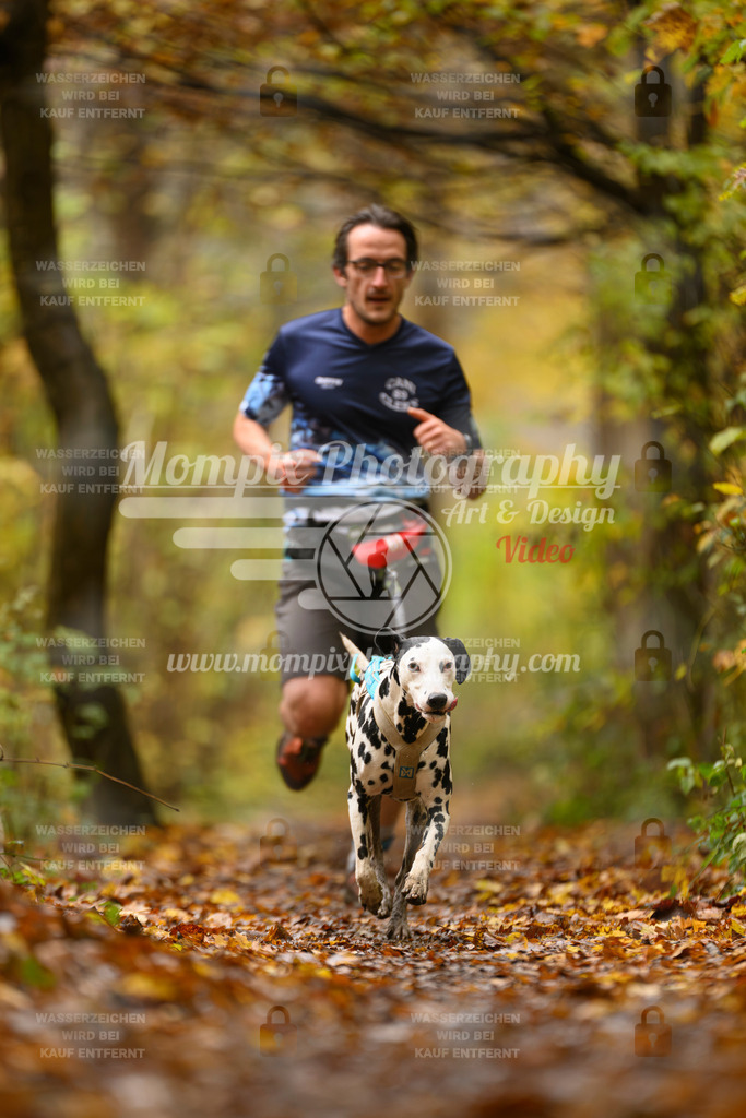 MompixPhotography_CD7S_DI_CCL-22 | mompixphotography