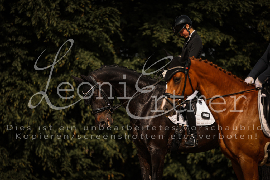 14.SaDrA00172 | Leoni Ertmer Photography - Realisiert mit Pictrs.com