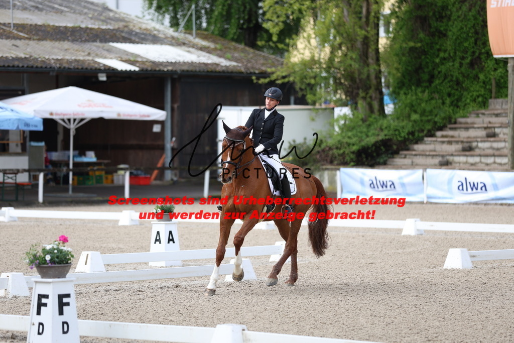 A40A0118 | lmwpictures - Realisiert mit Pictrs.com