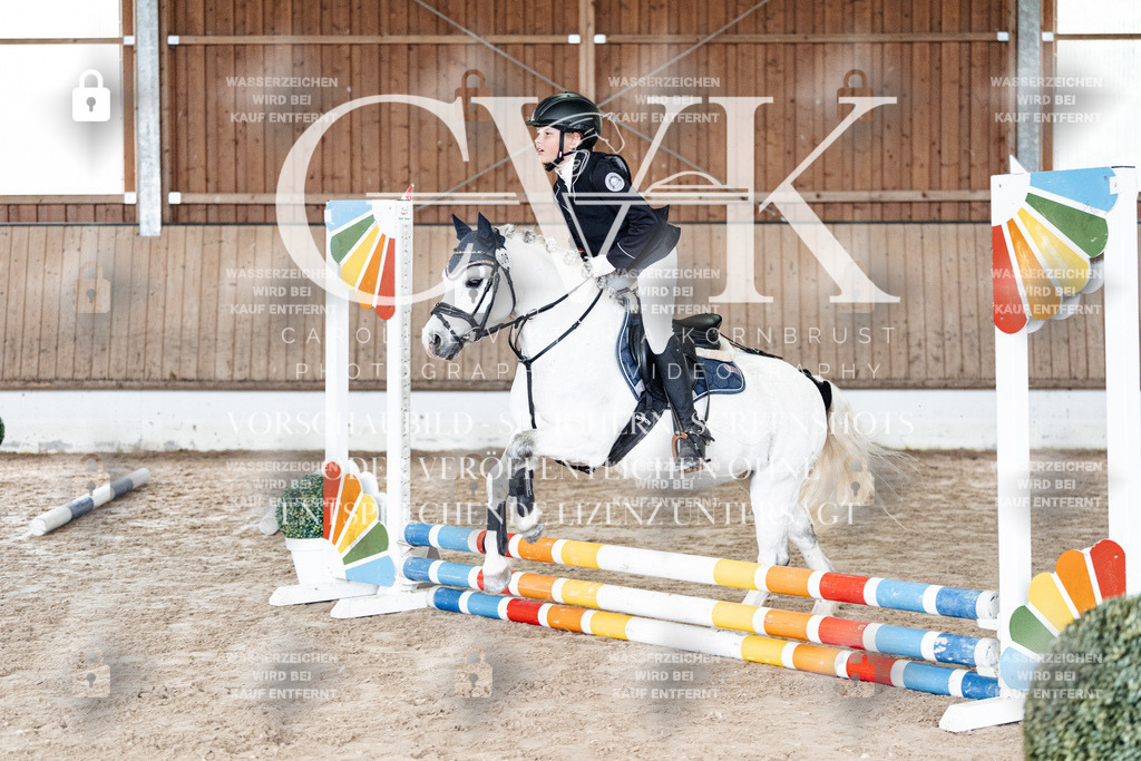 CK902573 | Turnierfotografie Pferdefotografie Trier Rheinland-Pfalz Pferdesport Reitsport Tierfotografie Sportfotografie Pferdevideo Pferdevideografie Equestrianvideography equestrianphotography  - Realisiert mit Pictrs.com