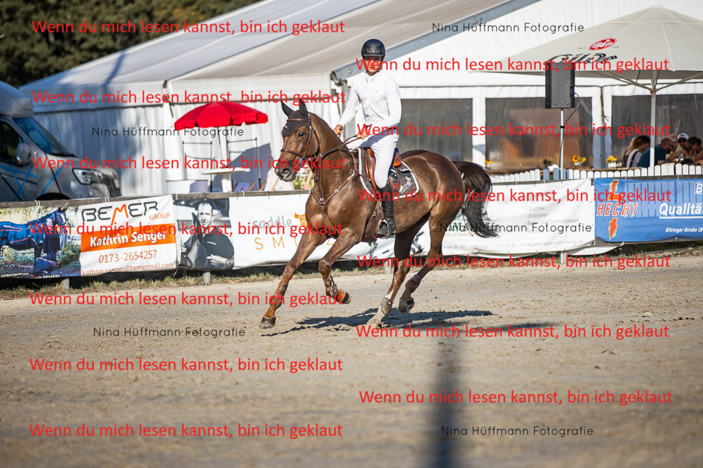 BK1A8710 | Turnierbilder Turnierfotos Nina Hüffmann Turnierfotografie Pferdefotografie Tierzeichnung Haustierzeichnung Pferdezeichnung Hundezeichnung Videograf  - Realisiert mit Pictrs.com