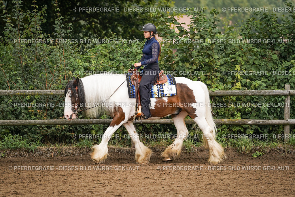 DSC01895 | Pferdegrafie