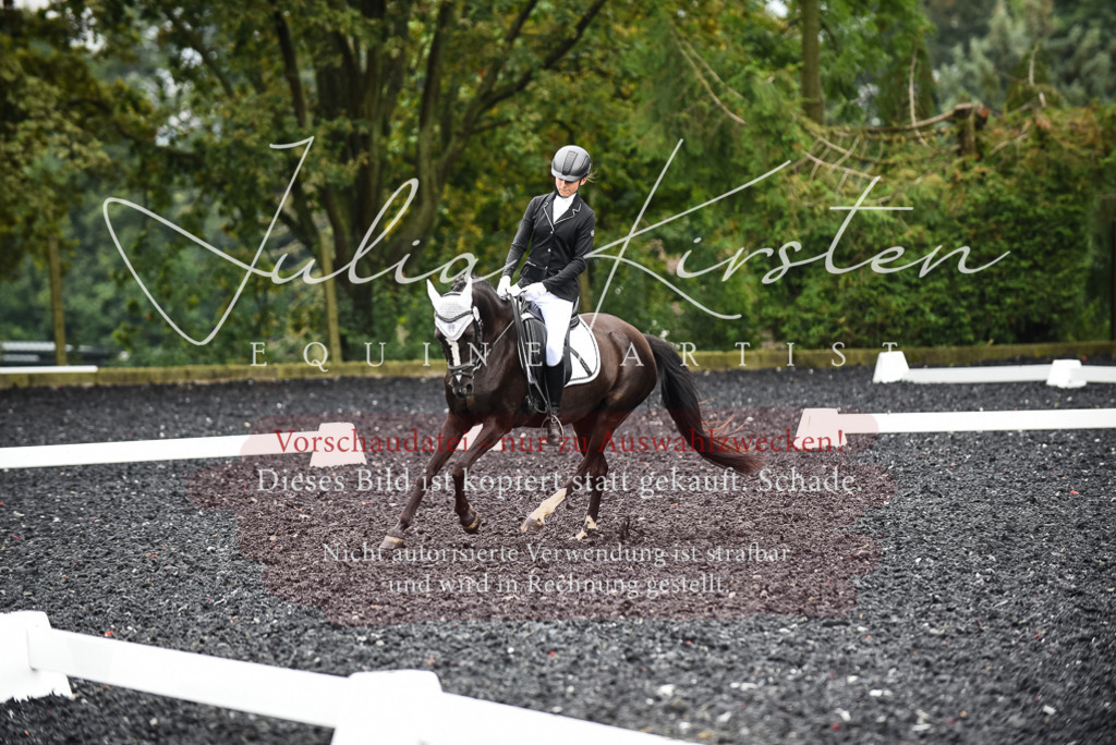 DSC_2744 | Pferde- und Turnierfotografie in Westsachsen. Pferdeportraits, Auftragszeichnungen und intuitive Kunst.