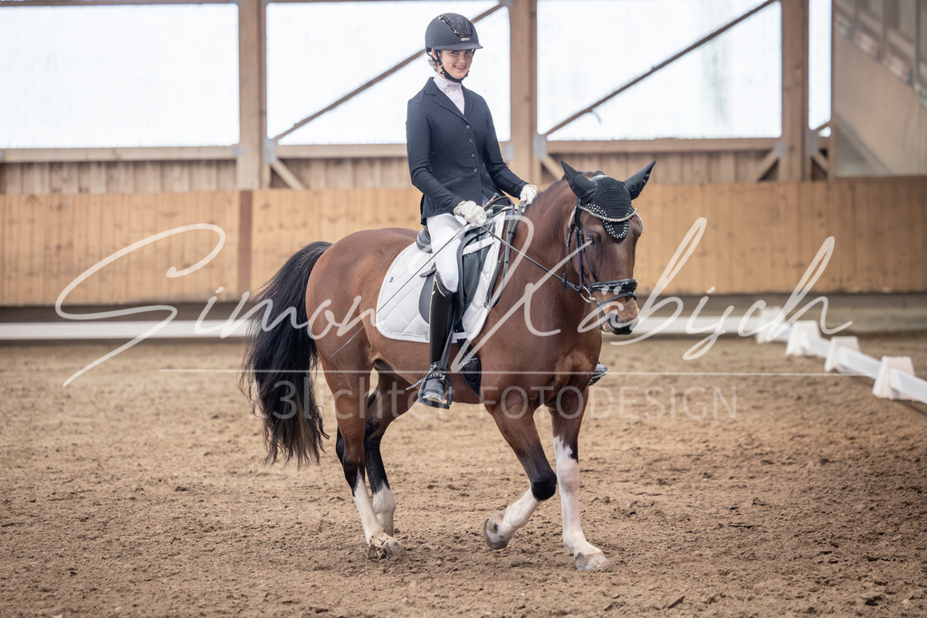 20251011-_3LI0390 | Tierfotografie Pferde, Hunde, Katzen, Haustiere.
Turnierfotografie Reitturniere, Reiten, Springreiten, Dressur in Hanau, dem Main-Kinzig-Kreis und dem Rhein-Main- Gebiet um Frankfurt