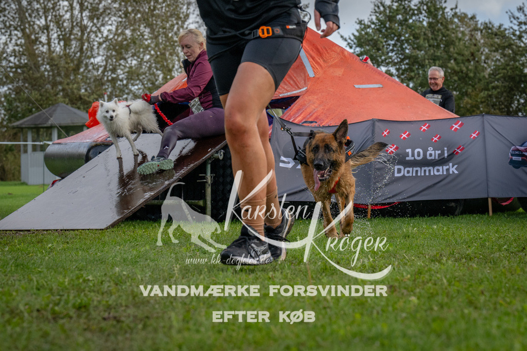 1217-93162 | kk-dogfotos
