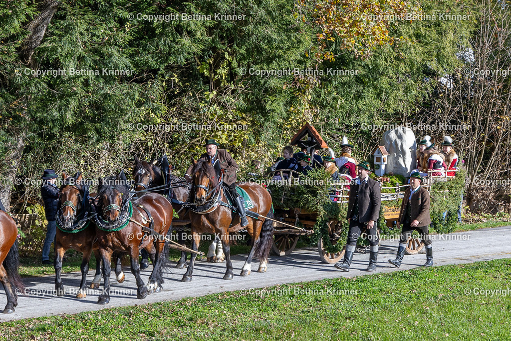 LBT24-756 | foto-bettina-krinner - Realisiert mit Pictrs.com