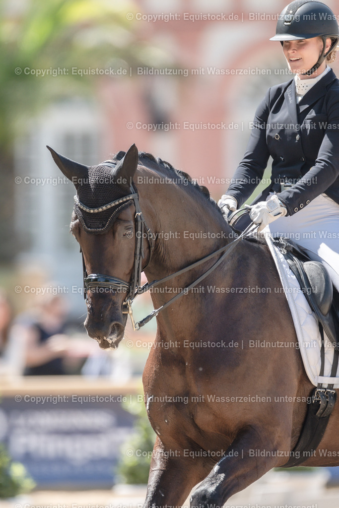 20230529_29_Louisdor_0137 | equistock