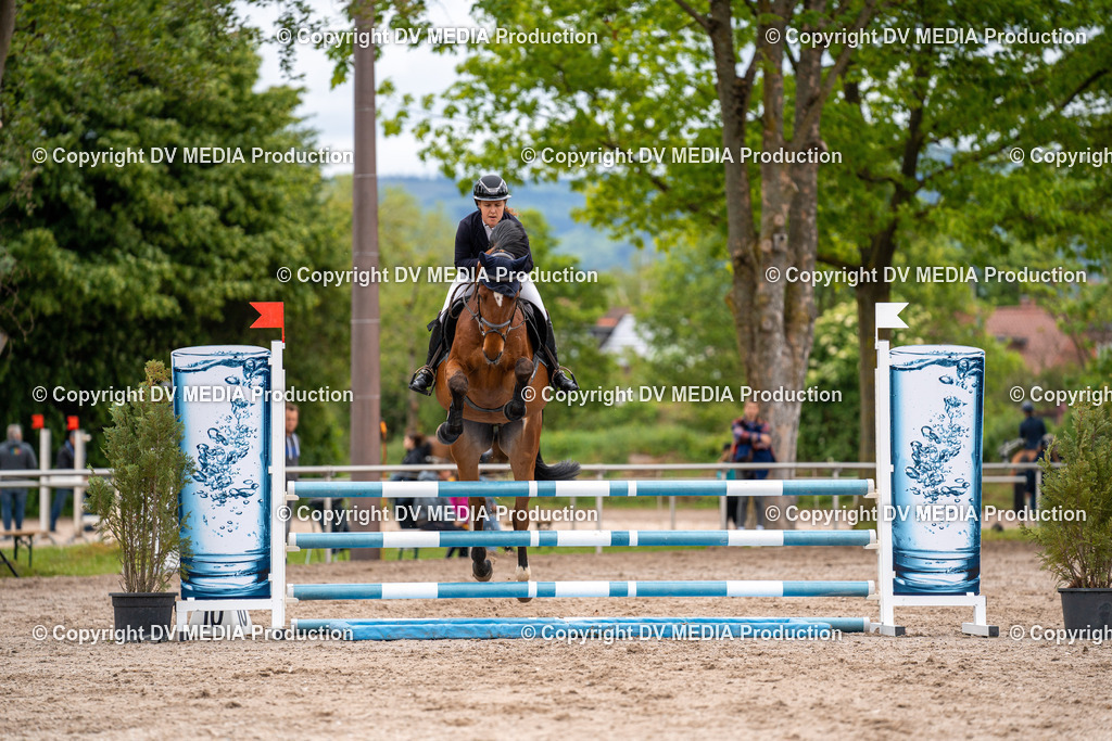 Eppelheim Tag 1-15 | dv-media-shop - Realisiert mit Pictrs.com