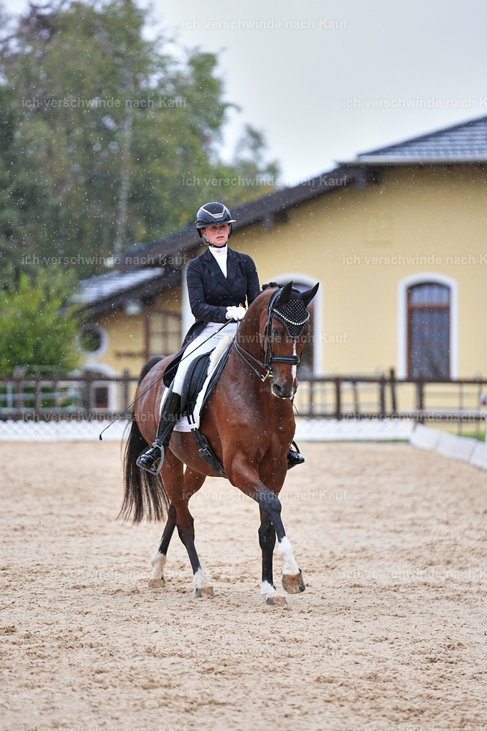 07-048-DRESSUR  S___  -Marixx-5112 | working equitationturnier fotograf videograf stoibphotography marixx film working equitation deutschland reitsport turnierfotografie eventfotografie equestrian events