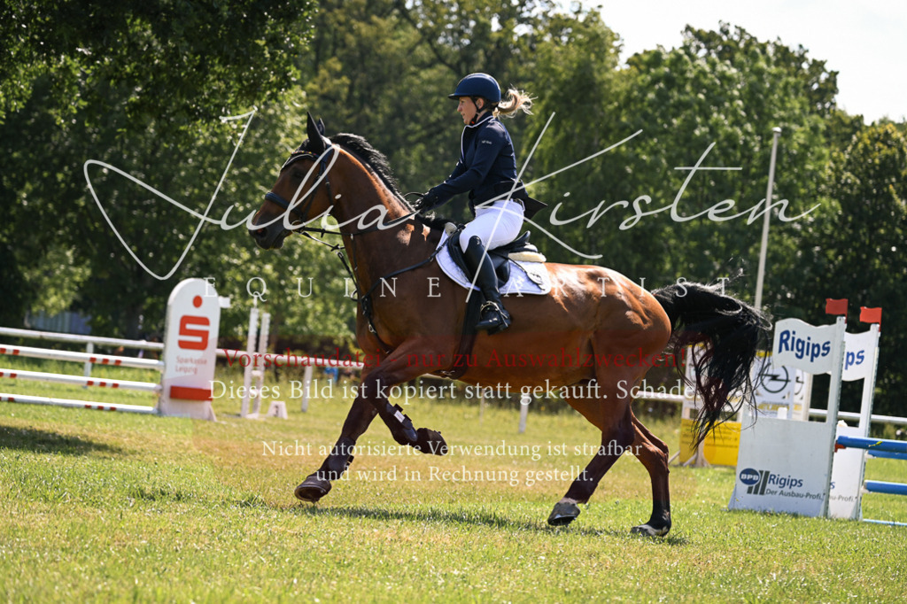 DSC_8848 | Pferde- und Turnierfotografie in Westsachsen. Pferdeportraits, Auftragszeichnungen und intuitive Kunst.