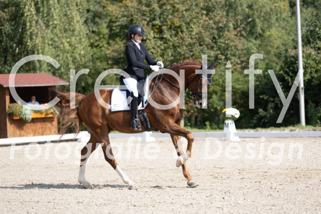 IMG_3191 | Creatify Fotografie