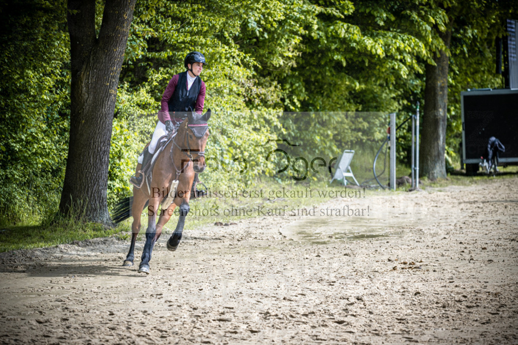 DOS_2168 | Reitturnier Lüdinghausen - Realisiert mit Pictrs.com