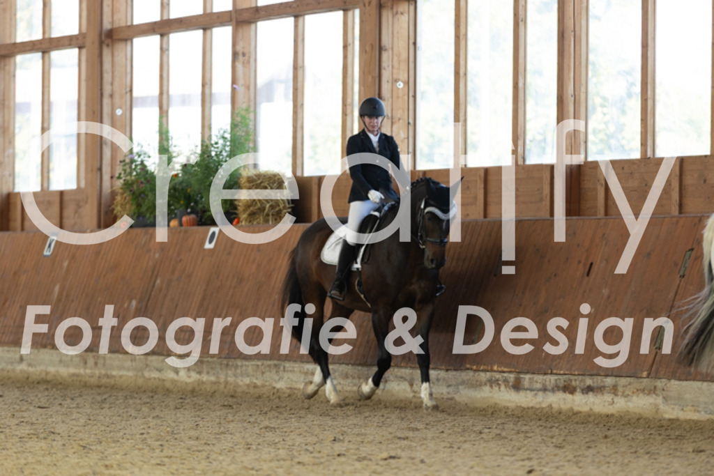 IMG_9308 | Creatify Fotografie