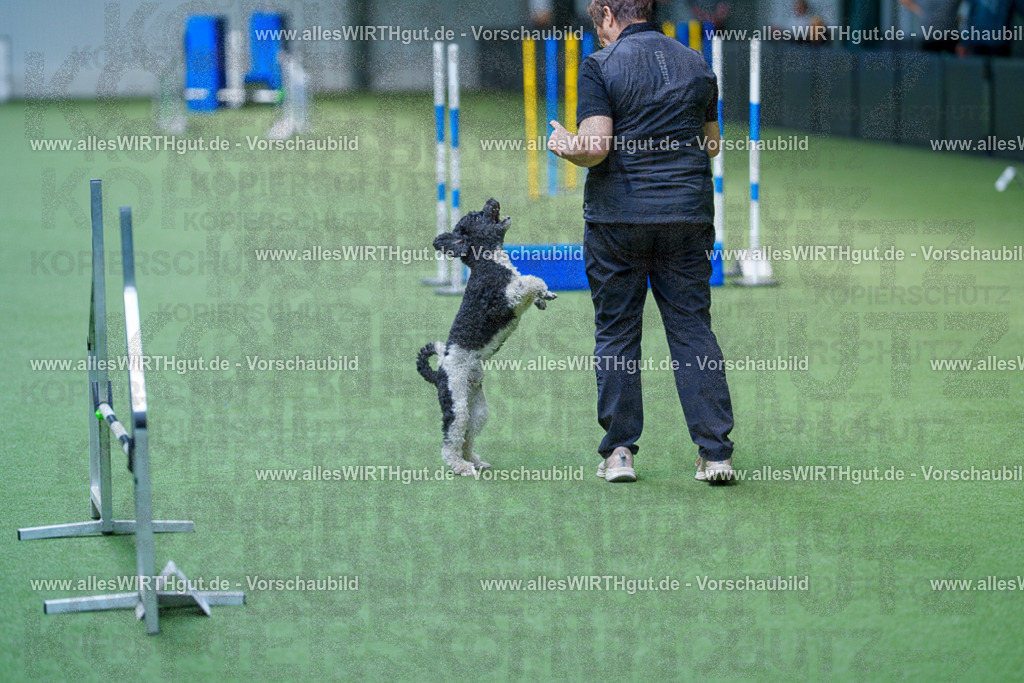 @allesWIRTHgut_Tierfotografie - www.allesWIRTHgut.de - 2604261339-7R502383 | Professionelle Tierfotografie in Mönchengladbach von Daniel Wirth (allesWIRTHgut). Liebevolle & natürliche Bilder von Hunden & Katzen für unvergessliche Erinnerungen.
