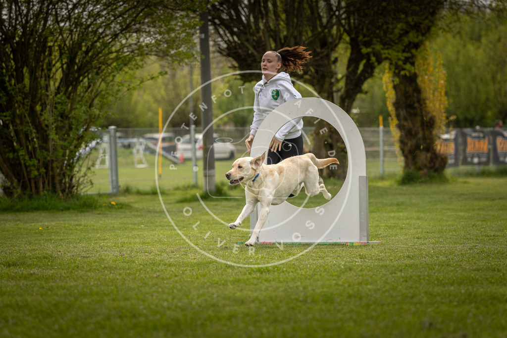 Pfotenfotografie_DV3A6572 | Hundefotografie, Tierfotograf, Pfotenfotografie, Fotoshooting Hund, Hunde Portrait, Hundesport, Hundeportraits, Heideshooting, Hunde, Sportfotograf, Hundefotograf, Turnierhundsport, THS,  - Realisiert mit Pictrs.com
