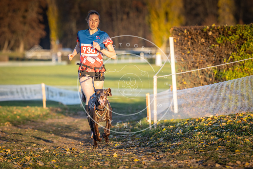 CaniXpix_DV3A5141 | Hundefotografie, Tierfotograf, Pfotenfotografie, Fotoshooting Hund, Hunde Portrait, Hundesport, Hundeportraits, Heideshooting, Hunde, Sportfotograf, Hundefotograf, Turnierhundsport, THS,  - Realisiert mit Pictrs.com