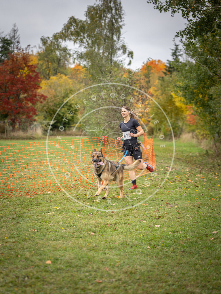 Pfotenfotografie_DV3A2770 | Hundefotografie, Tierfotograf, Pfotenfotografie, Fotoshooting Hund, Hunde Portrait, Hundesport, Hundeportraits, Heideshooting, Hunde, Sportfotograf, Hundefotograf, Turnierhundsport, THS,  - Realisiert mit Pictrs.com
