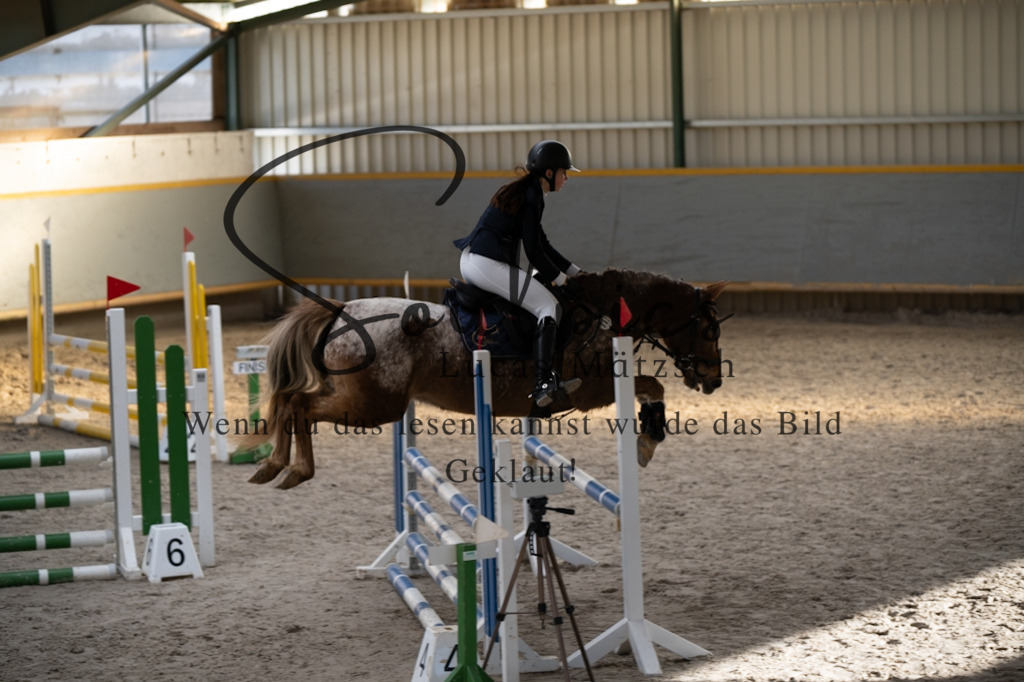 A7V01978 | Pferdefotograf