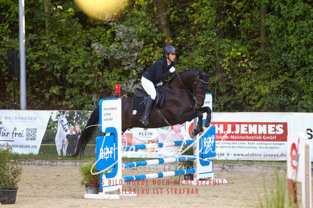 DKP42764 | Deine Turnierfotos vom Reitturnier online kaufen: Dressur, Springen & Siegerehrung. Professionelle Pferdefotografie aus dem Rheinland – als Download & Print.Alternative: Turnierfotograf für den Pferdesport: Finde deine Fotos von Dressur- und Springturnier