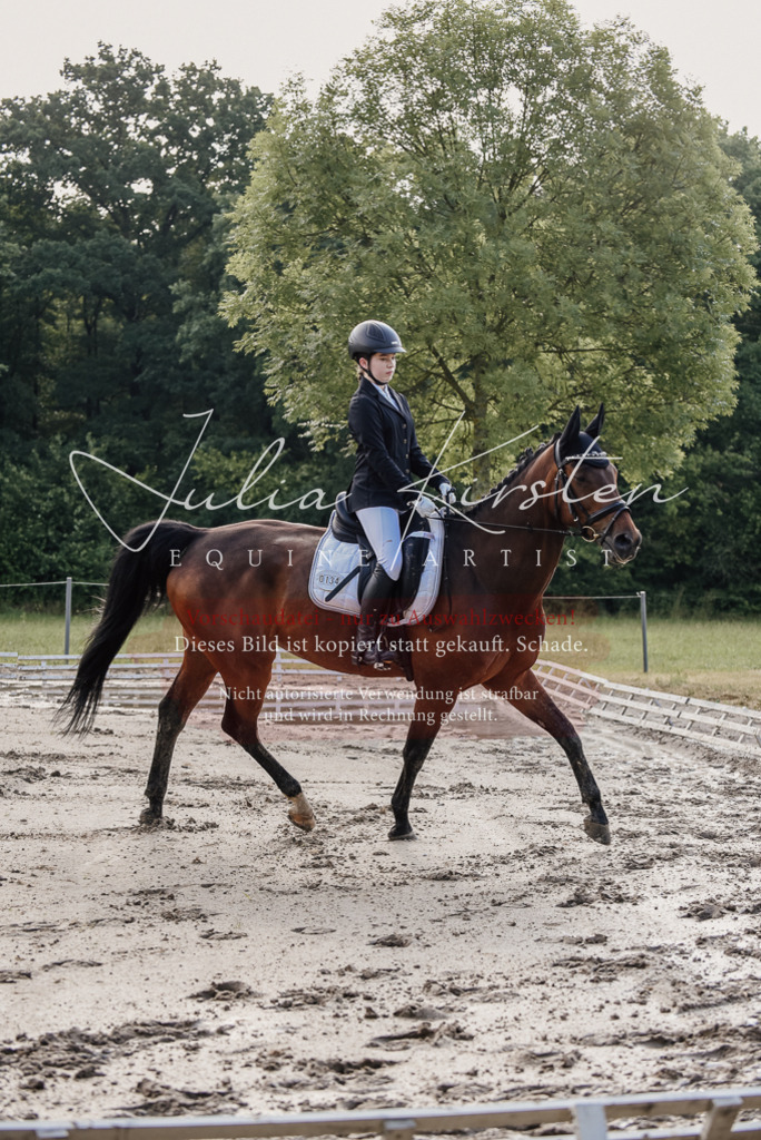 DSC_7951 | Pferde- und Turnierfotografie in Westsachsen. Pferdeportraits, Auftragszeichnungen und intuitive Kunst.
