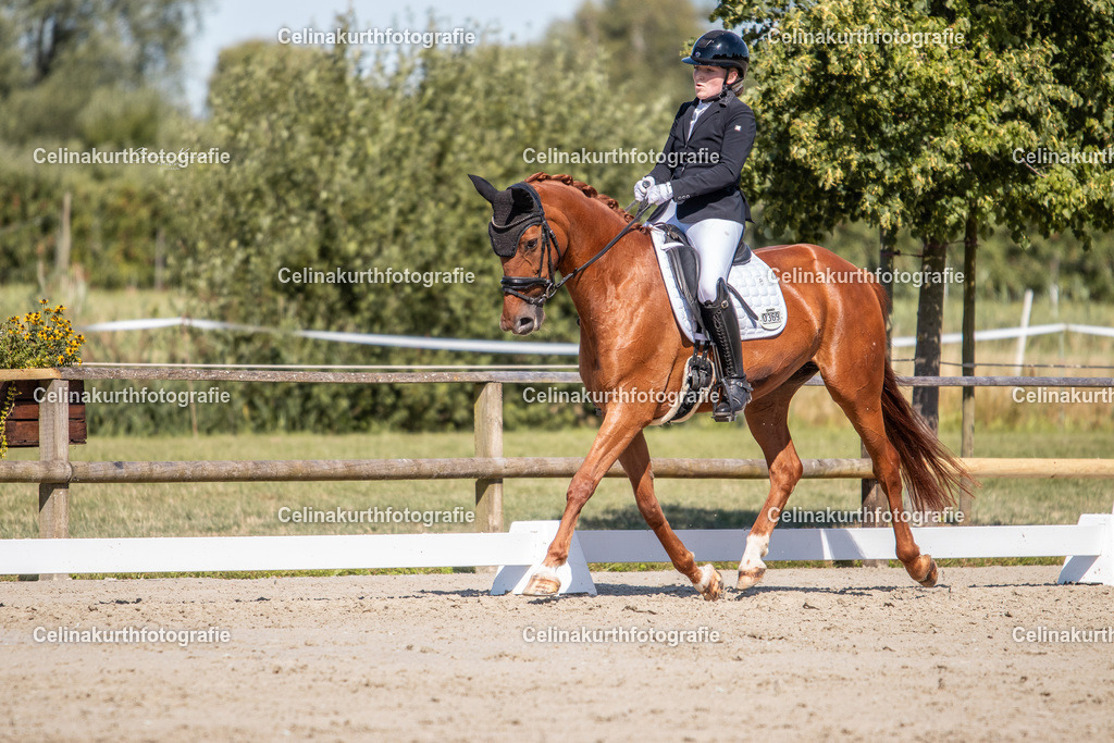 IMG_2667 | Celinakurthfotografie - Realisiert mit Pictrs.com