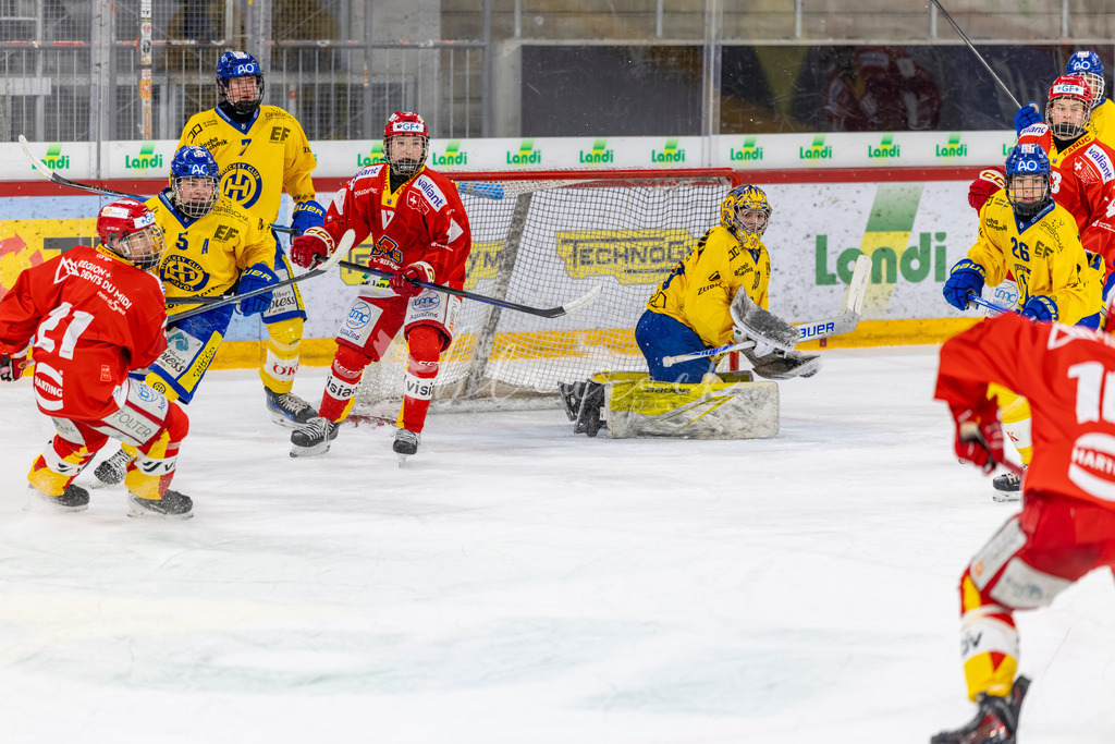 EHCB vs HCD 20262703-529982464 | Sportbilder, Sportfotograf, Hochzeits- und Eventfotografin, Flugshows, Portraits und Tiershooting, Aviation, Downhill, Nationalleague, Swissleague, International